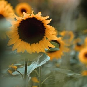 ×Trade×Smay897 Large MK Tote